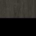 Дуб темный/Черный