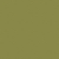 P2 EUROLINE 1130 (бледно-зеленый)